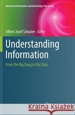 Understanding Information: From the Big Bang to Big Data Schuster, Alfons Josef 9783319865454