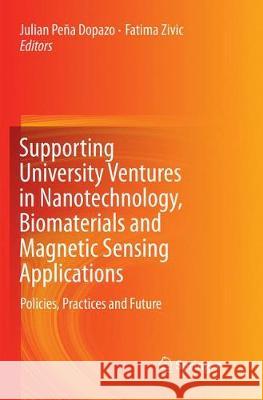 Supporting University Ventures in Nanotechnology, Biomaterials and Magnetic Sensing Applications: Policies, Practices, and Future Peña Dopazo, Julian 9783319870311 Springer