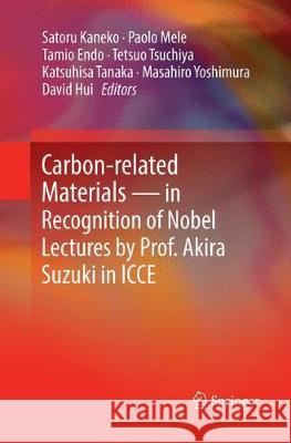 Carbon-Related Materials in Recognition of Nobel Lectures by Prof. Akira Suzuki in Icce Kaneko, Satoru 9783319871264 Springer