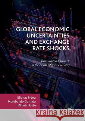 Global Economic Uncertainties and Exchange Rate Shocks: Transmission Channels to the South African Economy Ndou, Eliphas 9783319872797 Palgrave Macmillan