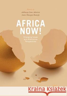 Africa Now!: Emerging Issues and Alternative Perspectives Adeniran, Adebusuyi 9783319873121 Palgrave MacMillan