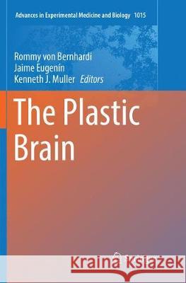 The Plastic Brain Rommy Vo Jaime Eugenin Kenneth J. Muller 9783319874036 Springer