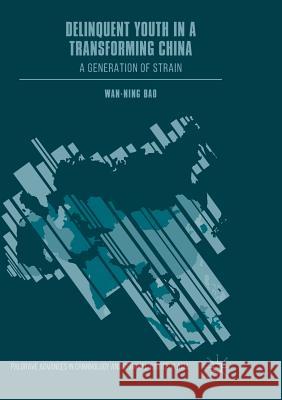 Delinquent Youth in a Transforming China: A Generation of Strain Bao, Wan-Ning 9783319876207 Palgrave MacMillan