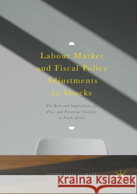 Labour Market and Fiscal Policy Adjustments to Shocks: The Role and Implications for Price and Financial Stability in South Africa Gumata, Nombulelo 9783319882628 Palgrave MacMillan