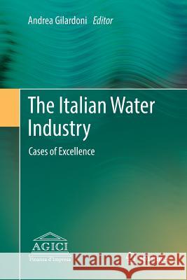 The Italian Water Industry: Cases of Excellence Gilardoni, Andrea 9783319890647 Springer