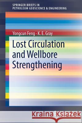 Lost Circulation and Wellbore Strengthening Yongcun Feng Kenneth Gray 9783319894348 Springer