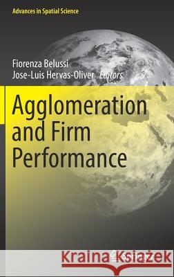 Agglomeration and Firm Performance  9783319905747 Springer