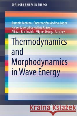 Thermodynamics and Morphodynamics in Wave Energy Moñino, Antonio; Medina-López, Encarnación; Bergillos, Rafael J. 9783319907000