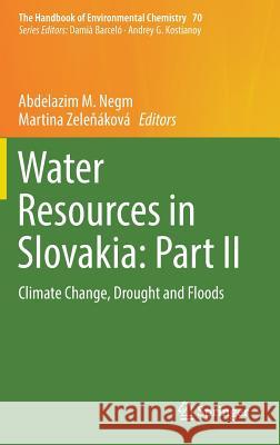 Water Resources in Slovakia: Part II: Climate Change, Drought and Floods Negm, Abdelazim M. 9783319928647 Springer