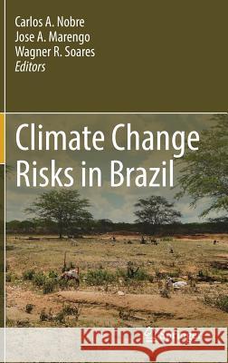 Climate Change Risks in Brazil Carlos Nobre Jose A. Marengo Wagner Soares 9783319928807 Springer