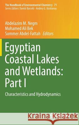 Egyptian Coastal Lakes and Wetlands: Part I: Characteristics and Hydrodynamics Negm, Abdelazim M. 9783319935898 Springer