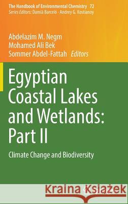 Egyptian Coastal Lakes and Wetlands: Part II: Climate Change and Biodiversity Negm, Abdelazim M. 9783319936109