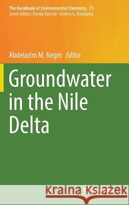 Groundwater in the Nile Delta  9783319942827 Springer