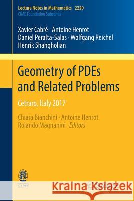 Geometry of Pdes and Related Problems: Cetraro, Italy 2017 Cabré, Xavier 9783319951850