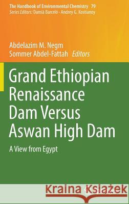 Grand Ethiopian Renaissance Dam Versus Aswan High Dam: A View from Egypt Negm, Abdelazim M. 9783319955995 Springer