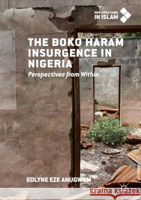 The Boko Haram Insurgence in Nigeria: Perspectives from Within Anugwom, Edlyne Eze 9783319969589 Palgrave MacMillan