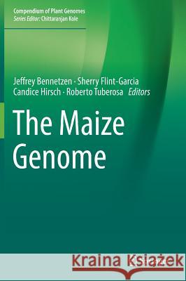 The Maize Genome Jeffrey Bennetzen Sherry Flint-Garcia Candice Hirsch 9783319974262 Springer