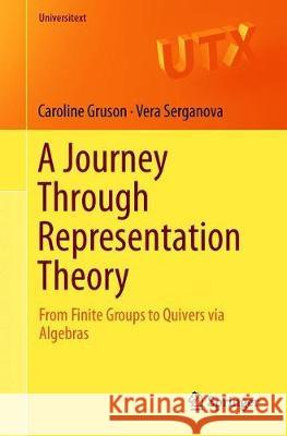 A Journey Through Representation Theory: From Finite Groups to Quivers Via Algebras Gruson, Caroline 9783319982694 Springer