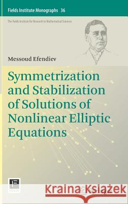 Symmetrization and Stabilization of Solutions of Nonlinear Elliptic Equations Messoud Efendiev 9783319984063 Springer