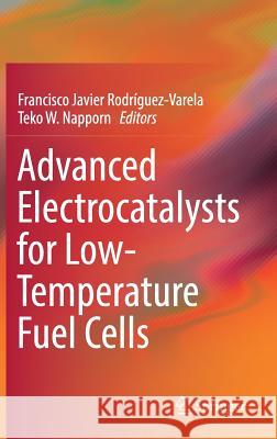 Advanced Electrocatalysts for Low-Temperature Fuel Cells Francisco Javier Rodriguez-Varela Teko Napporn 9783319990187 Springer
