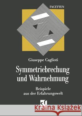 Symmetriebrechung Und Wahrnehmung: Beispiele Aus Der Erfahrungswelt Caglioti, Giuseppe 9783322850485 Vieweg+teubner Verlag