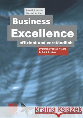 Business Excellence Effizient Und Verständlich: Praxisrelevantes Wissen in 24 Schritten Schnetzer, Ronald 9783322909411 Vieweg+teubner Verlag