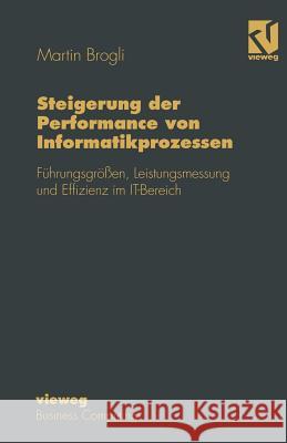 Steigerung Der Performance Von Informatikprozessen: Führungsgrößen, Leistungsmessung Und Effizienz Im It-Bereich Pfammatter, Kurt 9783322915740