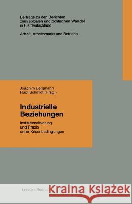 Industrielle Beziehungen: Institutionalisierung Und Praxis Unter Krisenbedingungen Bergmann, Joachim 9783322932556 Vs Verlag Fur Sozialwissenschaften