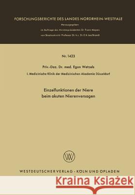 Einzelfunktionen Der Niere Beim Akuten Nierenversagen Egon Wetzels 9783322983138 Vs Verlag Fur Sozialwissenschaften