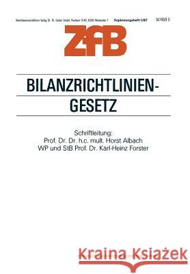 Bilanzrichtlinien-Gesetz Horst Albach 9783322984302 Gabler Verlag