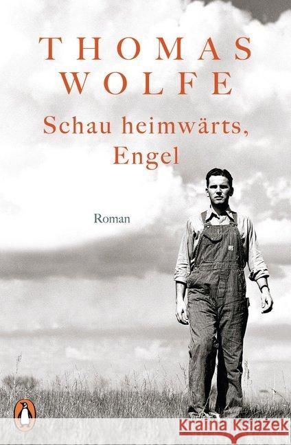 Schau heimwärts, Engel : Roman Wolfe, Thomas 9783328101673