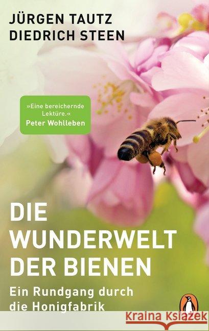 Die Wunderwelt der Bienen : Ein Rundgang durch die Honigfabrik Tautz, Jürgen; Steen, Diedrich 9783328103615 Penguin Verlag München