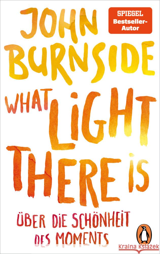 What light there is - Über die Schönheit des Moments Burnside, John 9783328108337