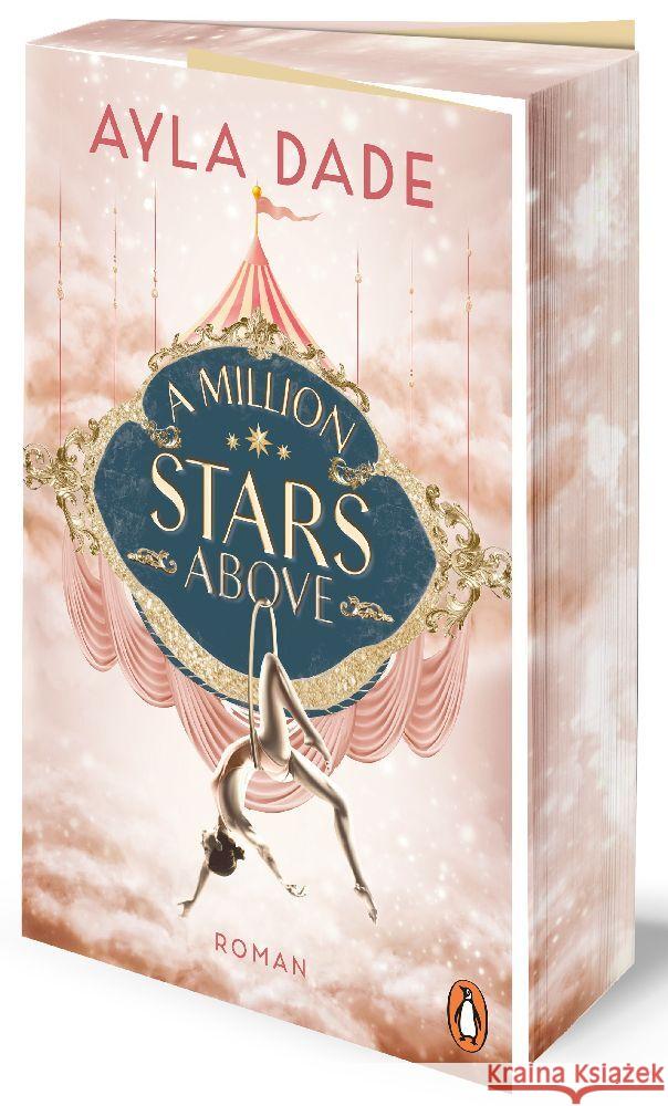 A Million Stars Above Dade, Ayla 9783328111580 Penguin Verlag München