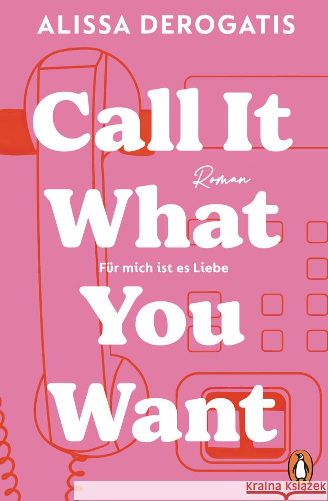 Call it what you want - Für mich ist es Liebe DeRogatis, Alissa 9783328112587