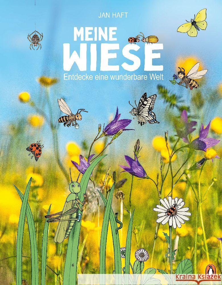 Meine Wiese.  - Entdecke eine wunderbare Welt Haft, Jan 9783328301837 Penguin Junior