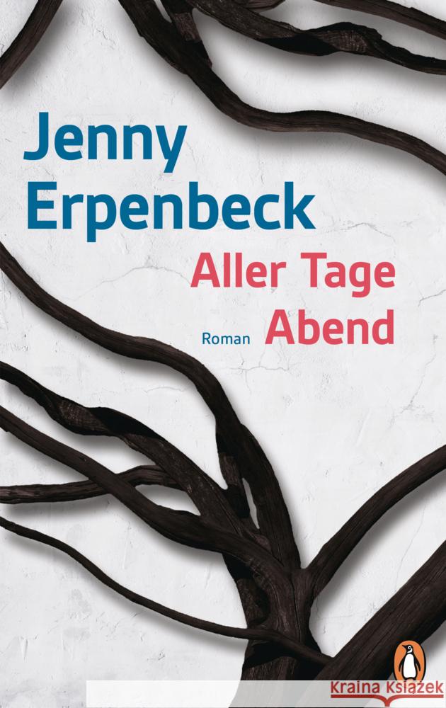 Aller Tage Abend Erpenbeck, Jenny 9783328604013