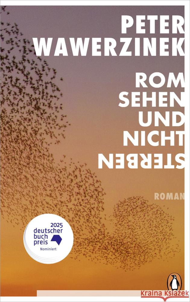 Rom sehen und nicht sterben Wawerzinek, Peter 9783328604051