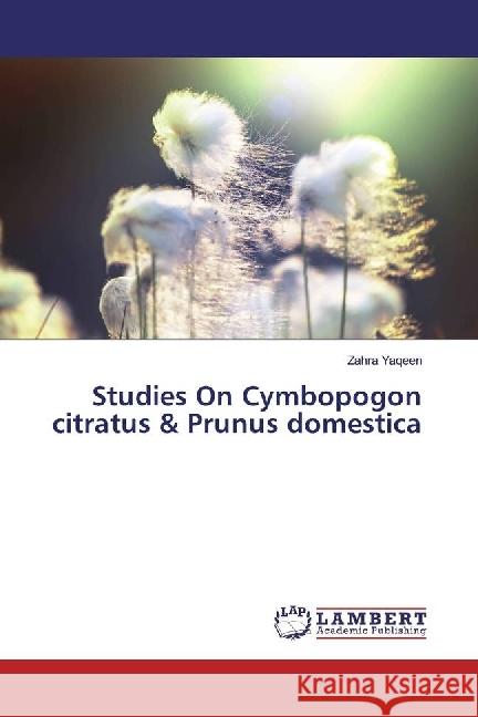 Studies On Cymbopogon citratus & Prunus domestica Yaqeen, Zahra 9783330010093 LAP Lambert Academic Publishing