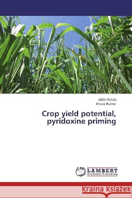 Crop yield potential, pyridoxine priming Abbas, Zafar; Kumar, Anoop 9783330010505 LAP Lambert Academic Publishing