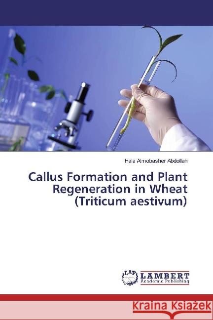 Callus Formation and Plant Regeneration in Wheat (Triticum aestivum) Abdollah, Hala Almobasher 9783330018228 LAP Lambert Academic Publishing