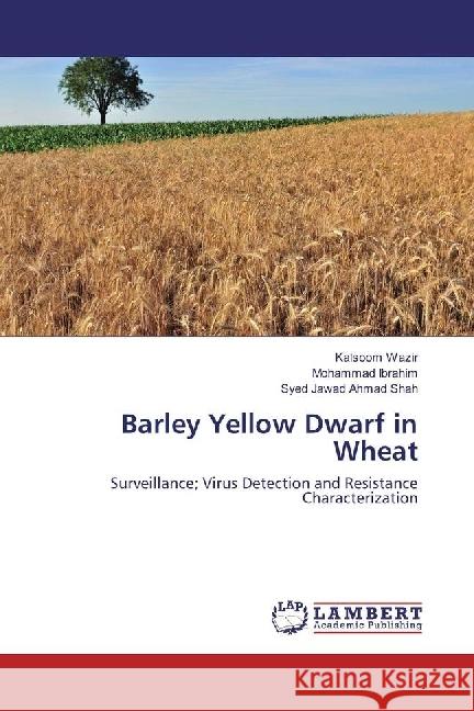 Barley Yellow Dwarf in Wheat : Surveillance; Virus Detection and Resistance Characterization Wazir, Kalsoom; Ibrahim, Mohammad; Shah, Syed Jawad Ahmad 9783330040182