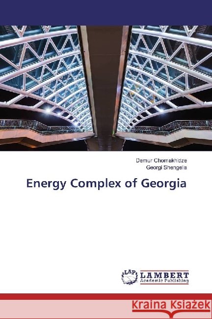 Energy Complex of Georgia Chomakhidze, Demur; Shengelia, Georgi 9783330048645