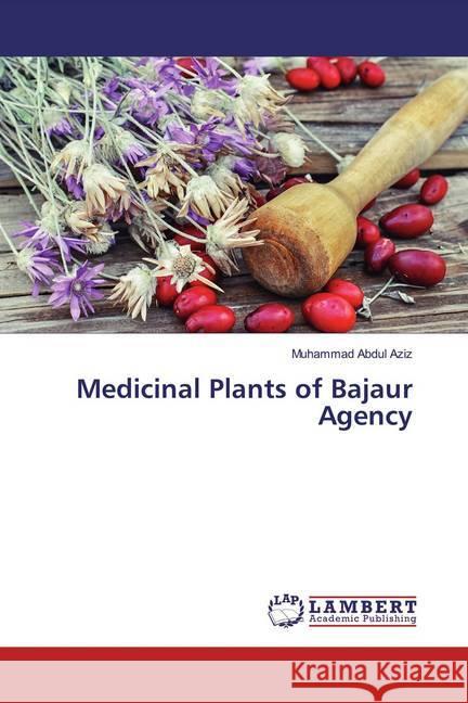 Medicinal Plants of Bajaur Agency Abdul Aziz, Muhammad 9783330052932