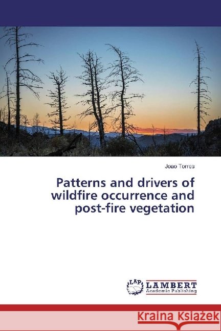 Patterns and drivers of wildfire occurrence and post-fire vegetation Torres, Joao 9783330064812