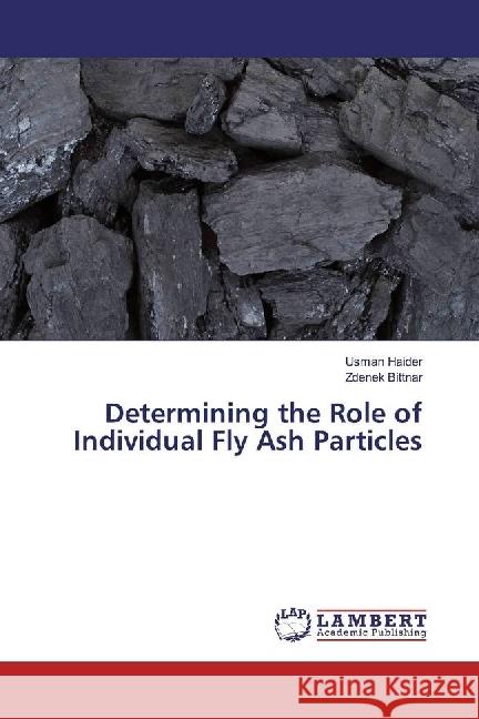 Determining the Role of Individual Fly Ash Particles Haider, Usman; Bittnar, Zdenek 9783330069657 LAP Lambert Academic Publishing