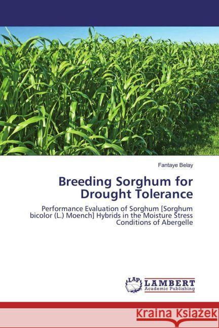 Breeding Sorghum for Drought Tolerance : Performance Evaluation of Sorghum [Sorghum bicolor (L.) Moench] Hybrids in the Moisture Stress Conditions of Abergelle Belay, Fantaye 9783330081031