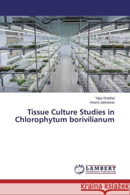 Tissue Culture Studies in Chlorophytum borivilianum Wadhai, Vijay; Jakkulwar, Anand 9783330082502