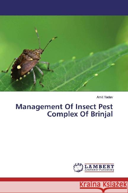 Management Of Insect Pest Complex Of Brinjal Yadav, Amit 9783330083134 LAP Lambert Academic Publishing