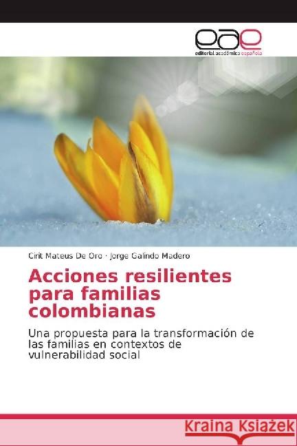 Acciones resilientes para familias colombianas : Una propuesta para la transformación de las familias en contextos de vulnerabilidad social Mateus De Oro, Cirit; Galindo Madero, Jorge 9783330096530